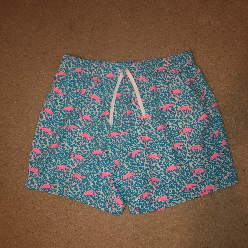 Men’s Chubbies Swim Trunks